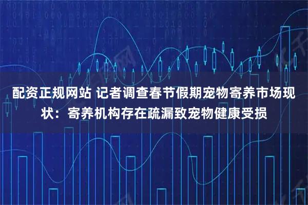 配资正规网站 记者调查春节假期宠物寄养市场现状：寄养机构存在疏漏致宠物健康受损