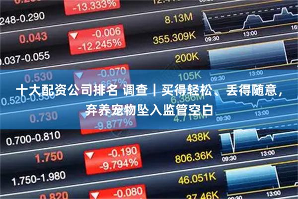 十大配资公司排名 调查｜买得轻松、丢得随意，弃养宠物坠入监管空白